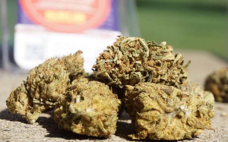 CBD flower